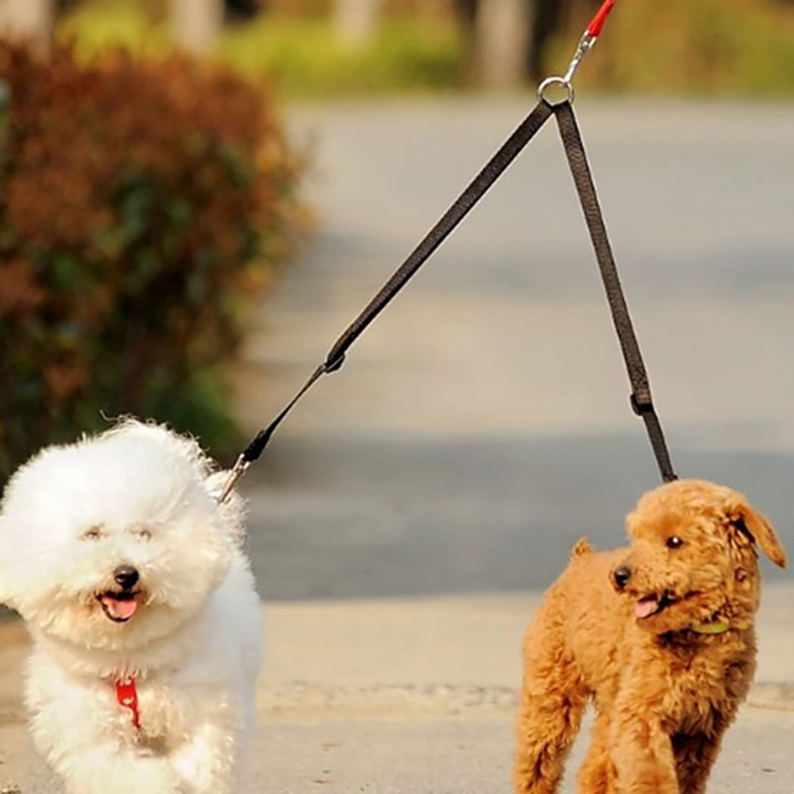 double dog walking leash