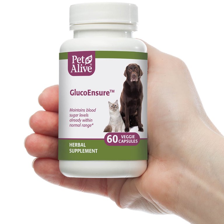  Natural Herbal Supplement, Pet antibiotic