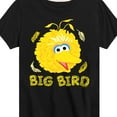 thumbnail image 3 of Sesame Street - Big Bird Face - Toddler and Youth Short Sleeve Graphic T-Shirt, 3 of 5