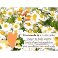 thumbnail image 4 of Crema para pañales Babo Botanicals Sensitive Baby sin fragancia, 4 of 8