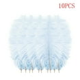 thumbnail image 2 of Under $5 Feather Decor, Multicolor Ostrich Feathers, 10-Pack Ostrich Feathers, 20-25Cm, for Wedding Decor, Centerpieces, Diy Crafts, by Goohae, 2 of 3