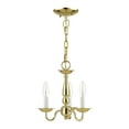 thumbnail image 3 of Livex Lighting Williamsburgh 3 Light Polished Brass Chain Hang/Ceiling Mount, 3 of 13