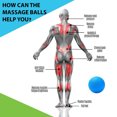 thumbnail image 4 of Massage Ball Muscle Relaxation Exercise Sports Fitness Massage Ball Trigger Point Stress Pain Relief, 4 of 5