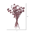 thumbnail image 5 of Vickerman Natural Botanicals 13" x 1-3" Red Gum Branch Red Frosted, 14 stems per unit, 5 of 5