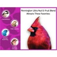 thumbnail image 6 of Pennington Ultra Fruit & Nut Blend Wild Bird Food, 14 lb. Bag, 1 Pack, Dry, 6 of 11