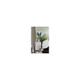 thumbnail image 4 of 36" Fern Spray Stem-Color:Green,Style:Botanical, 4 of 4