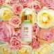thumbnail image 3 of Sérum facial Pixi Beauty, mezcla de aceite de rosas, 30 ml, 3 of 3