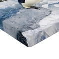 thumbnail image 2 of Ambesonne Penguin Fitted Sheet, Detailed Arctic Photo, Queen Size, Multicolor, 2 of 3