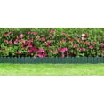 thumbnail image 4 of Garden Border Edging: Wooden Fence Design - 8pcs Green Yard Landscaping Fence Liner Lawn Edge Barrier - 10ft Kit of Decorative Lawn Landscape Panels Elements -Landscaping Edging-GMT-10374-B08, 4 of 18