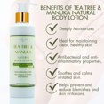 thumbnail image 4 of Tea Tree & Manuka Body Lotion – Hydrating, Soothing Skin Care for Daily Use, 8 oz by LatherGreen, 4 of 5