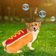 thumbnail image 5 of Disfraz de mascota de perro caliente, disfraz de Cosplay de fiesta lindo y cálido para cachorro mascota, disfraz de perro MFZFUKR CPB-DE-LYY2038-2, 5 of 5
