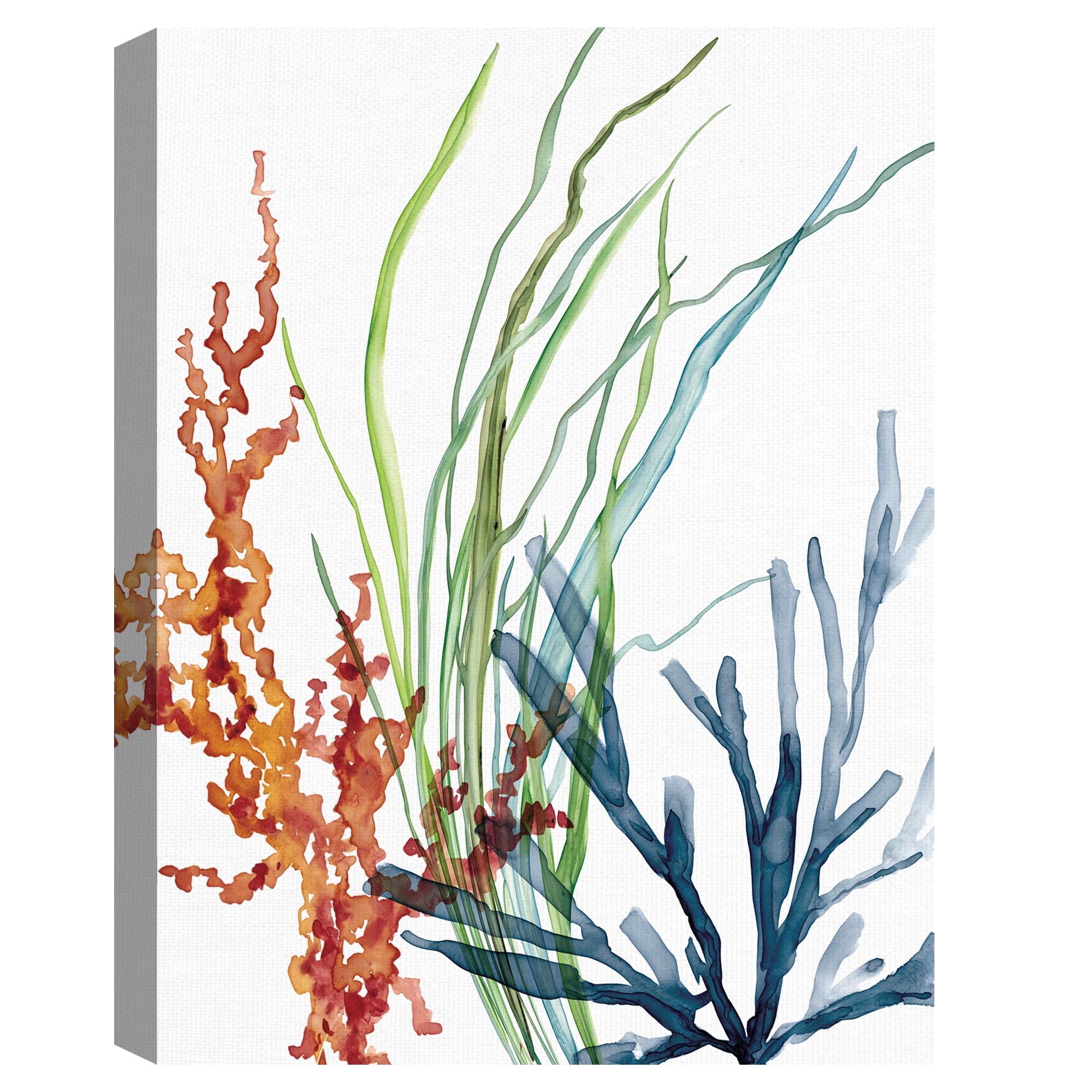 Masterpiece Art Gallery Ocean Magic I Marine Botanical by Carol Robinson Canvas Art Print