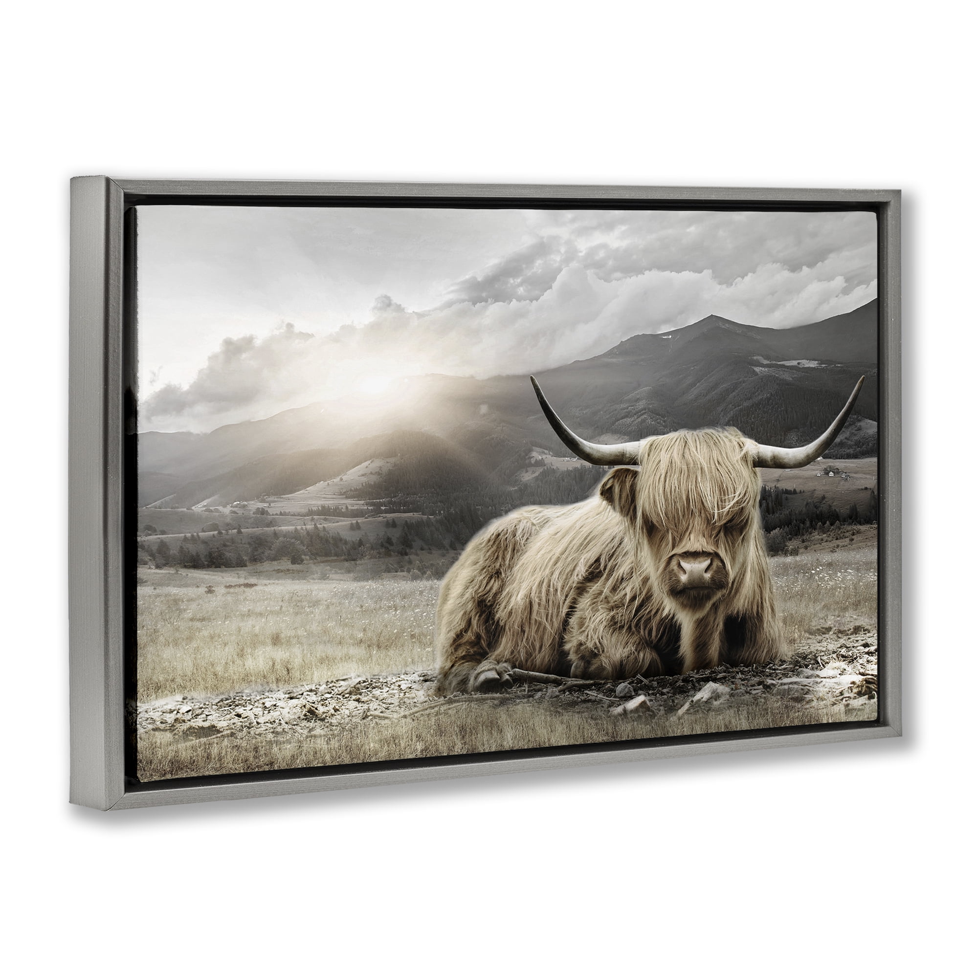 Stupell Industries Cattle Resting in Morning Sun Gray Framed Floater Canvas Wall Art, design by CAD Designs