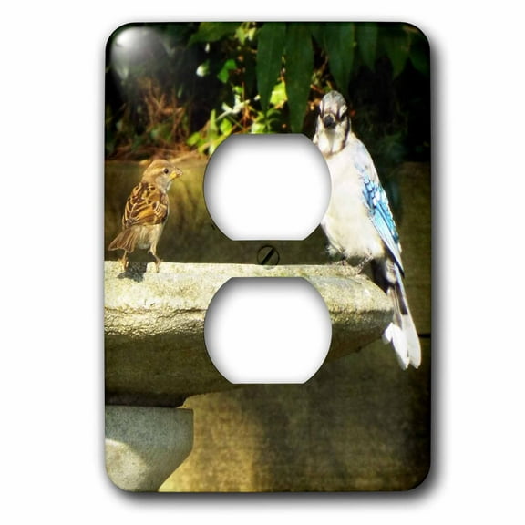 3dRose, Blue jay And Sparrow On Birdbath, 2 plug outlet cover