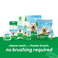 TropiClean Fresh Breath No Brushing Clean Teeth Dental & Oral Care Gel