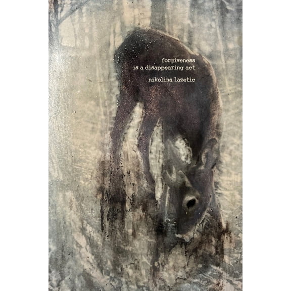 forgiveness is a disappearing act, (Paperback)