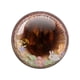 thumbnail image 3 of Ojos de cristal para muñecas, redondos, de 10 a 40 mm, con forma de cúpula, de dragón, para gato, accesorio de juguete para pupila, para muñecas Blyth, 3 of 5