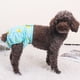 thumbnail image 4 of Pañales lavables para perras Braguitas reutilizables para perros Pantalones de seguridad fisiológica para la menstruación Pañales ajustables para gatos Suministros para mascotas, 4 of 5