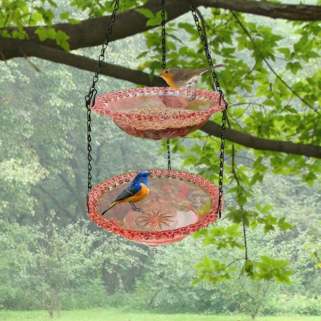 Bird Feeder for Outdoors With Large Capacity and Adjustable Perches to Attract Wild Birds - Durable Squirrel Proof Design for Outdoor Use