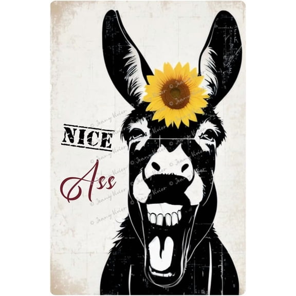 Nice A-s-s Metal Tin Sign, Funny Donkey Bathroom Decor, Restroom Toilet Vintage Poster, Donkey Gifts for Donkey Lovers, Shabby Chic Farmhouse Sign Rustic Farmhouse Gifts 12x16 Inch
