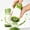 2pcs, variant on Picador De Cilantro, Multifunctional Cilantro Chopper, Fully Detachable & Easy Clean, Cilantro Parsley Chopper for Salad Garnish, Kitchen Gadgets