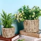 thumbnail image 3 of GOOHOCHY 1 maceta decorativa de cemento con forma de árbol., 3 of 8