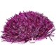 thumbnail image 2 of pompones de 30 cm/11,8 pulgadas para porristas, accesorios deportivos para fiestas, 2 of 5