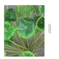 thumbnail image 2 of Simulation Plant Crabapple Leaves Small Lotus Leaves, 2 of 5
