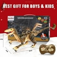 Hot Bee Remote Control Dinosaur Toys for Kid, Robot Dinosaur with Light