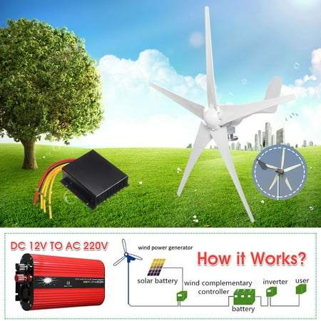 Green Energy Wind Generator, Max 810W Wind Turbine Generator DC 12/24V 3 /5 Blades Wind Turbine