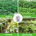 thumbnail image 5 of iPower 1-Pack 4x4FT Elastic Trellis Netting with 6 Hooks for Grow Tents Greenhouse Indoor and Outdoor Climbing Plants, Flowers, Vegetables, White, 5 of 8