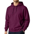 thumbnail image 2 of Domuza Mens Hoodies Lightweight Thin Fleece Hoodie Pullover with Hood Casual Basic Solid Color Pullover Sweatshirt, 2 of 7