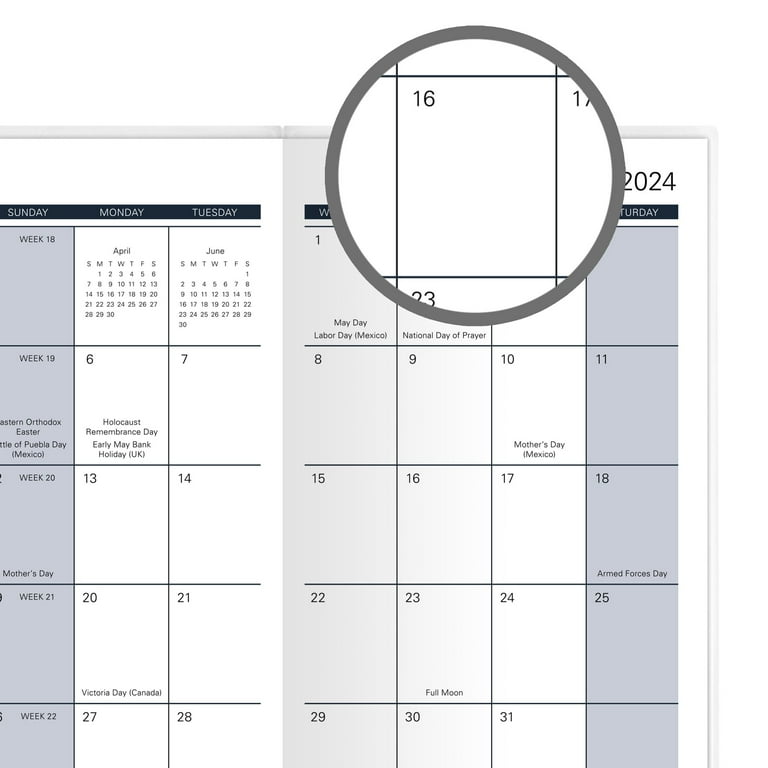 Tropical 2024-2025 Two Year Monthly Pocket Planner Design Chosen For You -  - Walmart.com