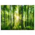 thumbnail image 2 of Tableau moderne imprimée sur toile Design Art Foret avec rayons de soleil, 2 of 3