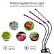 thumbnail image 1 of Lámpara para Plantas de Interior LED 36W Lámpara de Crecimiento para Cultivo de Plantas y Flores, Luz de Planta para Crecimiento Plantas de Interior y Exterior(Tira) LYUMO Lámpara para Plantas de Interior LED 36W Lámpara de Crecimiento para Cultivo de Plantas y Flores, 1 of 6