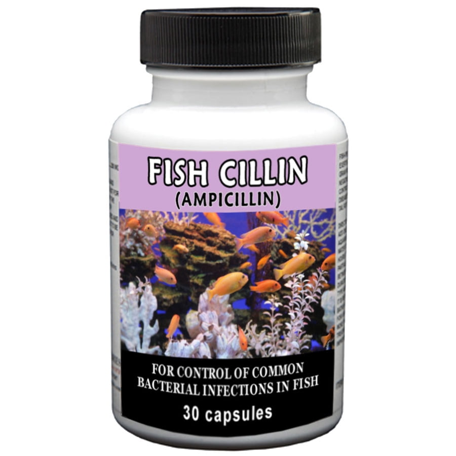Thomas Labs Fish Cillin Fish Antibiotic Medication, 30 Count Walmart