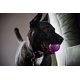 thumbnail image 4 of Juguete de Goma Chew King Verde Natural Extremadamente Duradero 2.5 Pulgadas Paquete de 8, 4 of 9