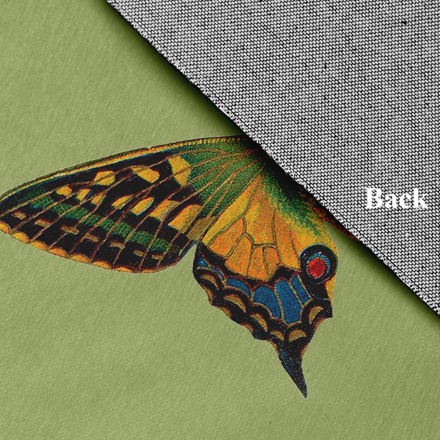 24" 36" Simply Daisy Colorful Butterfly Swallowtail Novelty Chenille Area Rug, Apple Green