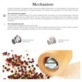 thumbnail image 4 of Bisetti Imperia 4 Inch Olive Wood Salt Mill With Adjustable Grinder, 4 of 4