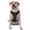 With Accessories, variant on Vsdgher Chemistry Formulas 1 Pattern Dog Harness,No Pull Pet Harness with Soft Padded Handle,Adjustable Reflective Vest with 2 Buckles,4 Slide Buckles,S-XL