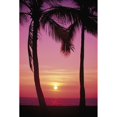 thumbnail image 2 of Hawaii, Oahu, Waianae Coast, View Of Sunset Between Two Palm Trees, Pink Hues Poster Print (24 x 38), 2 of 4