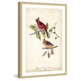 thumbnail image 2 of Marmont Hill "Cardinal Grosbeak" Framed Painting Print, 2 of 5