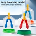 thumbnail image 2 of Visland Lung Breathing Function Demonstration Model 3D Human Lung Breathing Simulation Device School Students Educational Scientific Experiments Teaching Aid, 2 of 7