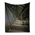 thumbnail image 1 of Rustic Soft Flannel Fleece Throw Blanket, Industrial Interior Greenhouse Agriculture and Plants Nature in Urban Areas Print, Cozy Plush for Indoor and Outdoor Use, 50" x 60", Grey Green, by Ambesonne, 1 of 6