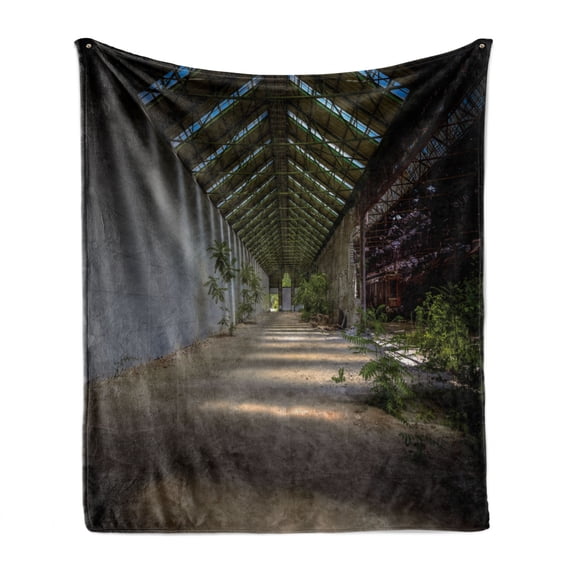 Rustic Soft Flannel Fleece Throw Blanket, Industrial Interior Greenhouse Agriculture and Plants Nature in Urban Areas Print, Cozy Plush for Indoor and Outdoor Use, 50" x 60", Grey Green, by Ambesonne