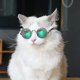 thumbnail image 4 of Gafas de sol para perros, gafas de protección UV, gafas de sol para gatos y perros, 4 of 4