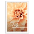 thumbnail image 1 of Marco de fotos Americanflat A3 de 30 x 42 cm con cristal irrompible, 1 of 7