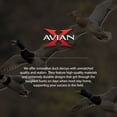 thumbnail image 3 of Avian X AXP Specklebelly Decoy Fusion Pack with Lasting Finish and Bag, 6 Pack, 3 of 11