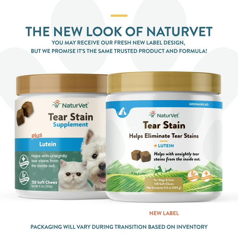 Tzu Puppies Shih Tzu Tear Stain Removal Dog Tear Stains: Causes