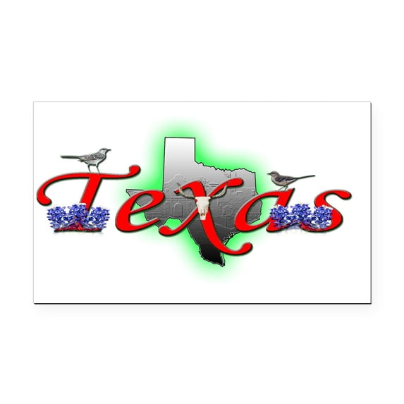 CafePress - Texas - Rectangle Car Magnet